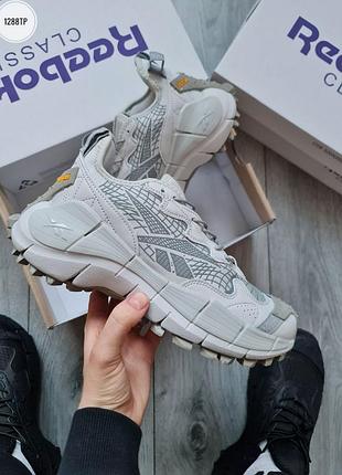 Мужские кроссовки reebok zig kinetica ii edge gore-tex light grey