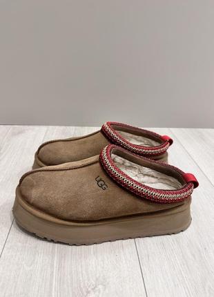 Стильные теплые шлепанцы ugg оригинал2 фото