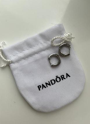 Сережки під pandora