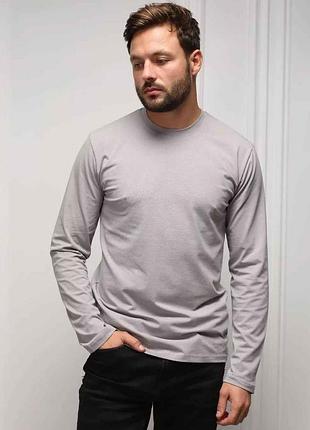 Чоловічий лонгслів футболка з довгим рукавом hector однотонна сіра з круглим коміром