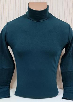 Водолазка гольф мужской leliss теплый на флисе однотонный классический с воротом стойка темно-зеленый