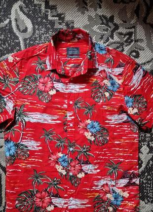 Фирменная английская хлопковая рубашка рубашка рубашка гавайка primark, новая.3 фото