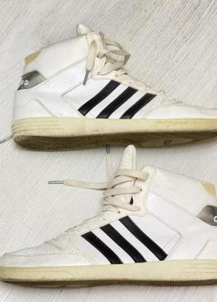 adidas neo label. 40 41 650 145642678