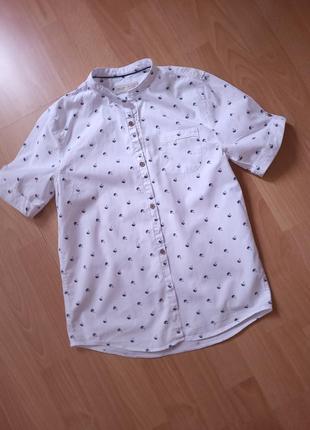 ❗️❗️❗️фирменная рубашка с коротким кукавом от zara 11-12 лет