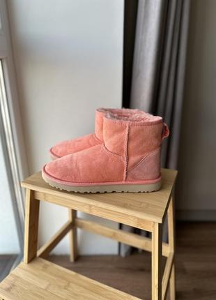 Ботинки ugg4 фото