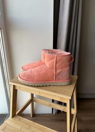 Ботинки ugg1 фото