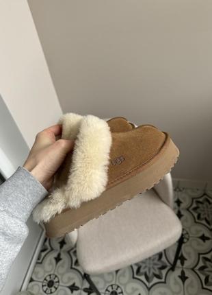 Ugg disquette оригинал