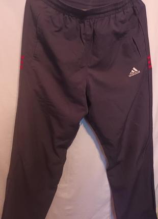 Мужские спортивные штаны adidas