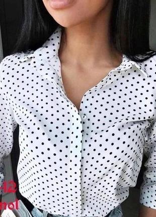 Блуза блузка рубашка женская базовая нарядная праздничная деловая в горошек белая черная5 фото