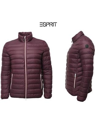 Чоловіча красива мікропухова куртка esprit оригінал [ m-l ]1 фото