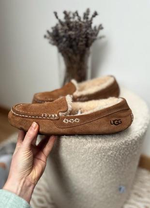 Угги женские ugg ansley slipper мокасины9 фото