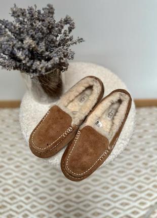 Угги женские ugg ansley slipper мокасины8 фото