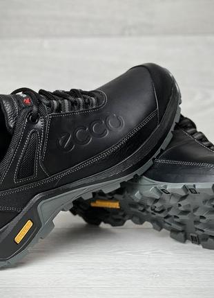 Кроссовки мужские кожаные ecco trekking force5 фото