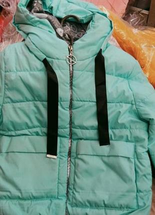 Демисезонная куртка