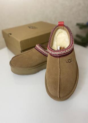 Угги ugg tazz1 фото