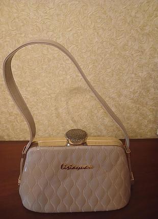 Сумка жидкостей