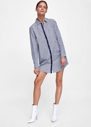 Женское стильное платье рубашка в полоску zara