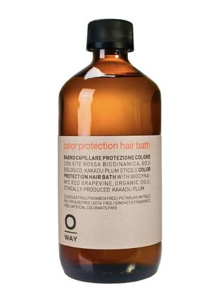 Шампунь для фарбованого волосся oway color protection hair bath