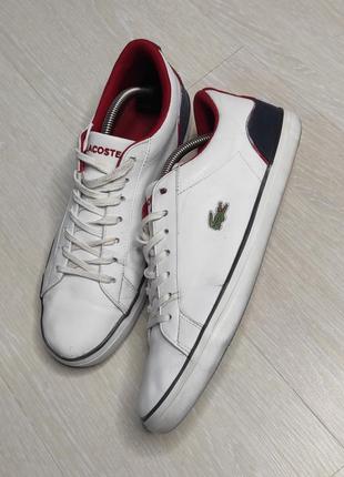 Кеди lacoste оригінал