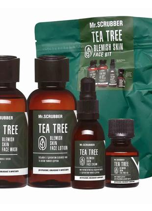 Набір для обличчя mr.scrubber tea tree skin treatment