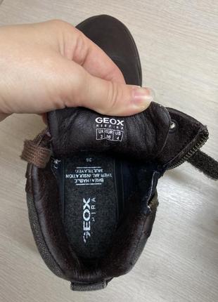 Кожаные деми ботинки geox.8 фото