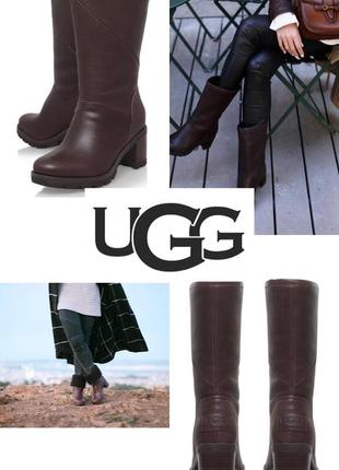 Коричневые кожаные демисезонные сапоги от ugg с отворотом