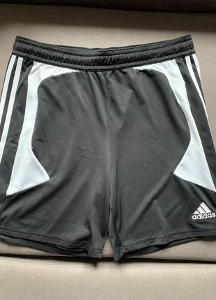Спортивные шорты adidas nike puma umbro reebok1 фото