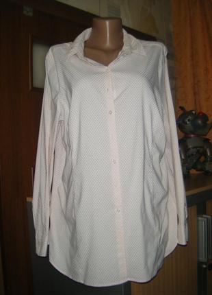 Трендова сорочка в горох, розмір хl - 18 - 52