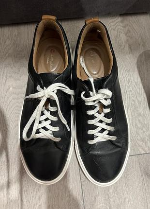Clarks кеди