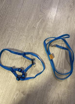 Шлейка и поводок для собачки😍✨
