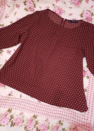 Кофточка блуза от mango1 фото