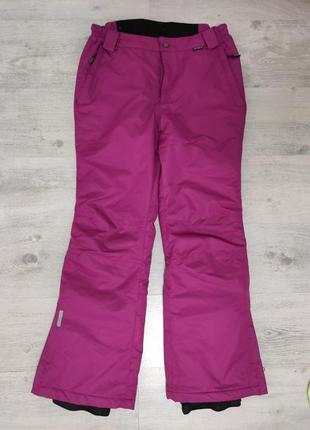 Лыжные брюки женские s1 фото