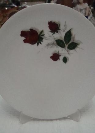 Старинная тарелка цветы роза фарфор бавария германия №954(1)2 фото