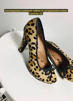 Леопардовые кожаные туфли из натурального меха topshop 39