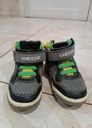 Хайтопи кросівки високі черевики geox