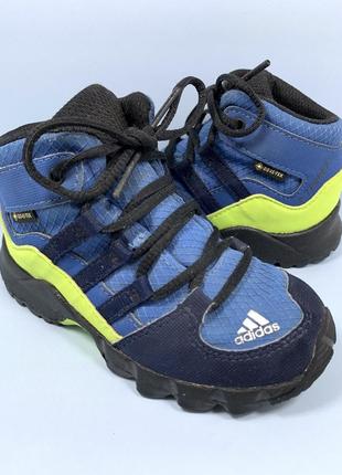 Кросівки демісезонні adidas terrex