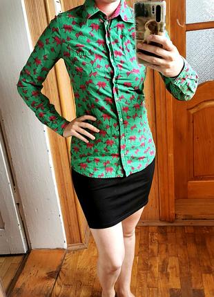 Блузка, сорочка, рубашка