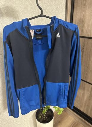 Кофта мужская adidas1 фото