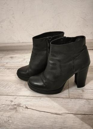 Кожані весняні черевики бренд sole