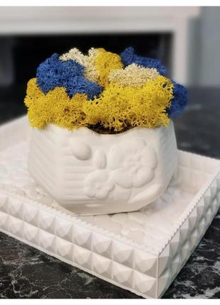 Кашпо с мохом
