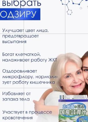 Аодзіру з молочнокислими бактеріями та ферментами на 30 днів, японія2 фото