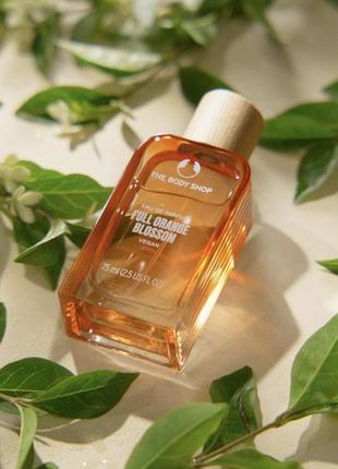 Туалетная вода, парфюм, аромат the body shop full orange blossom, цветы апельсина, унисекс, vegan, cruelty free2 фото