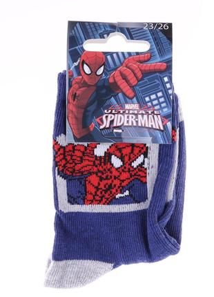 Шкарпетки spider man spiderman ds carre синій діт 19-22, арт.43890147-12 фото