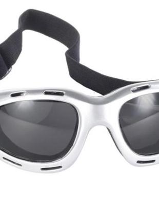 Pacific coast sunglasses® 4560