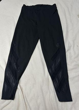 Новые лосины с прозрачными вставками