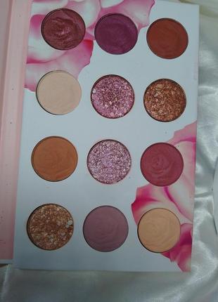 Physicians formula rosé all play