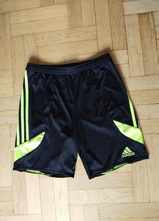 Шорты adidas climate