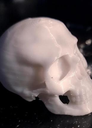 Пластиковый череп