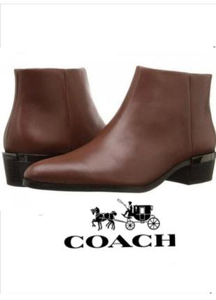 Coach montana 2600 145821795
