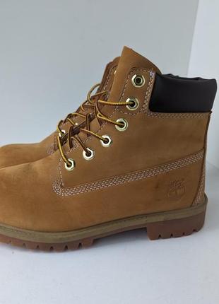 Черевики timberland